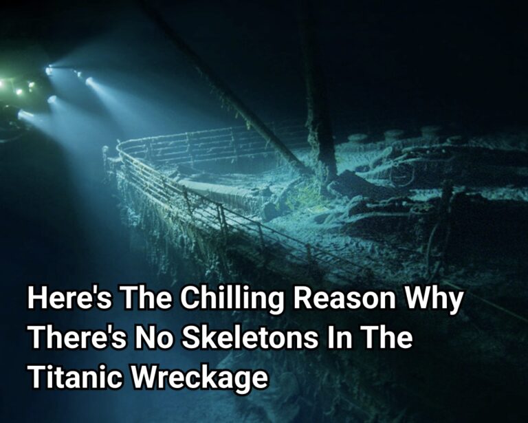 Here’s The Chilling Reason Why There’s No Skeletons In The Titanic Wreckage