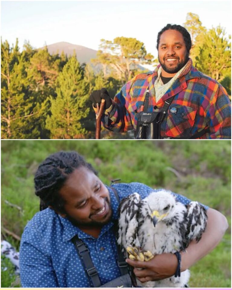 “I Was Ready to Quit Forever… Until a Golden Eagle Looked Me in the Eye and Refused to Let Me Go”: Hamza Yassin’s Heart-Stopping Confession That’s Left Britain in Tears.