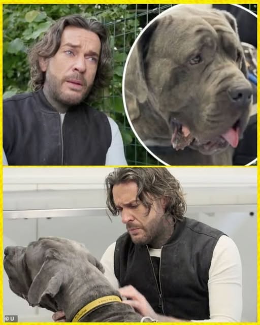 Pete Wicks’ Silent Rescue Love