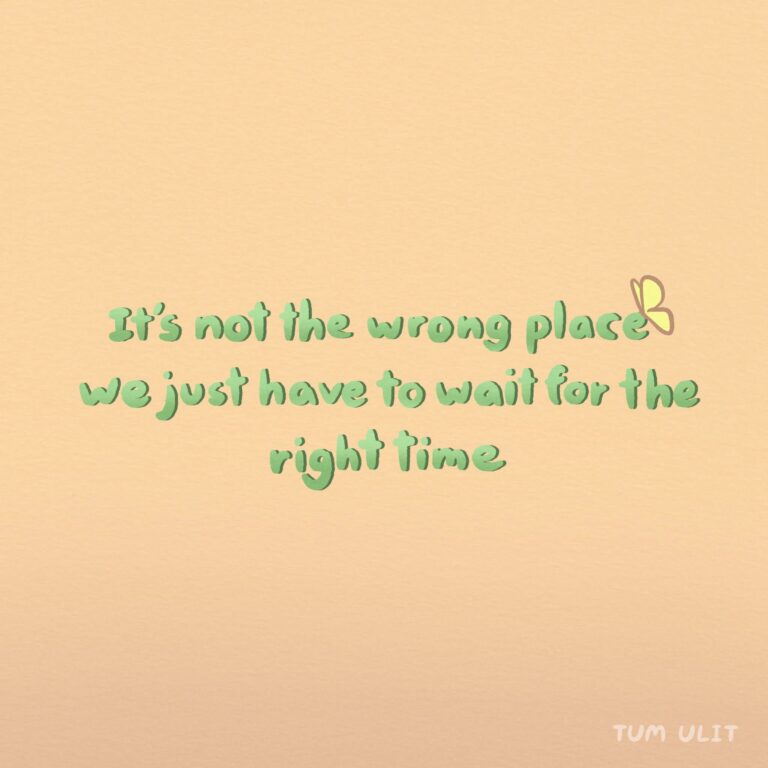 Garden in the desert 🌹🌼🌵