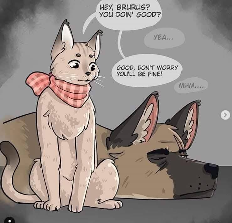 Don’t worry you will be fine…