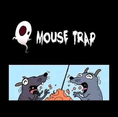 She planned a trap for the mice, but what did they do?!