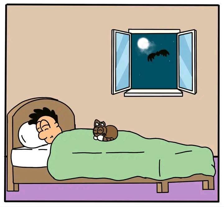 The bat that flew through the window