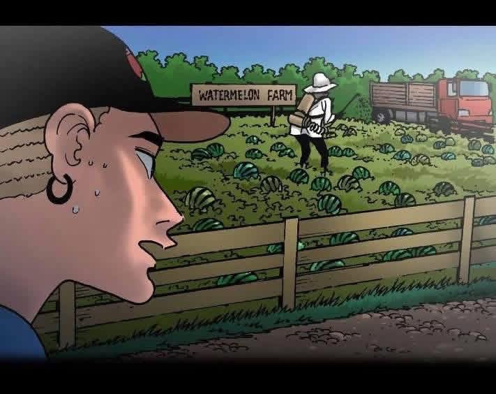 Police searching for missing person in watermelon farm
