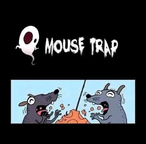 Who set the trap for whom better?
