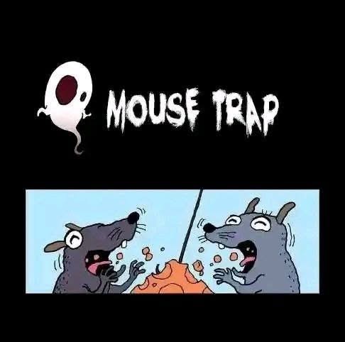 They wanted to trap mice.