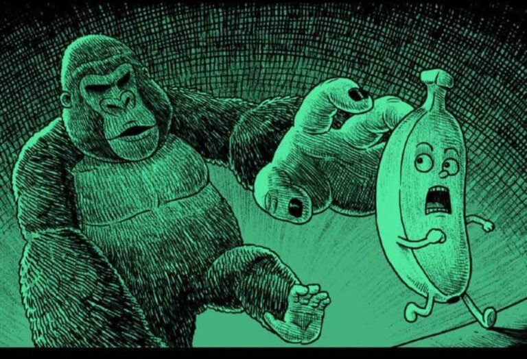What did the monkey say to the banana?