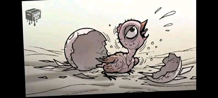 What kind of reborn is this?!!