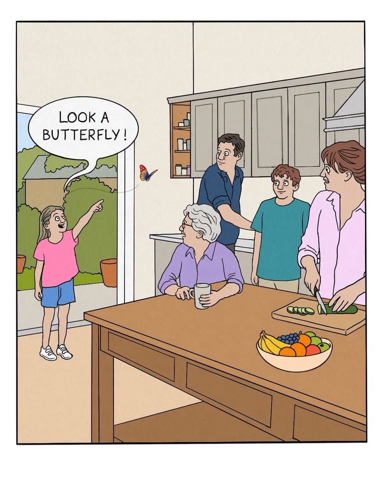 What did the butterfly do to them?