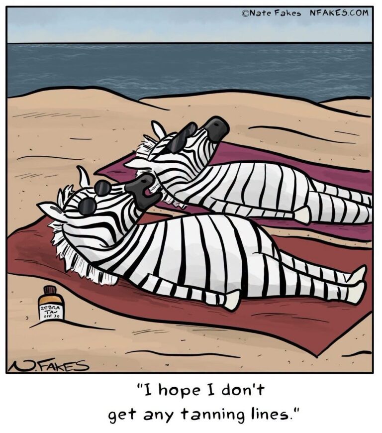 Stripe issue