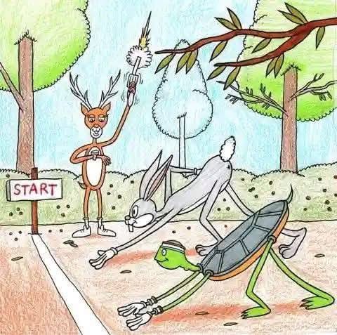 Tortoise and hare